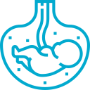 Gynaecology Icon