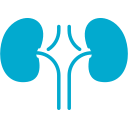 Nephrology Icon